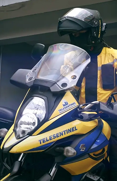 Telesentinel