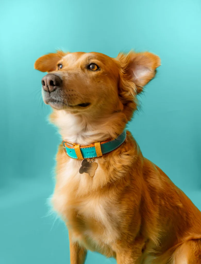 Fotografía de Producto