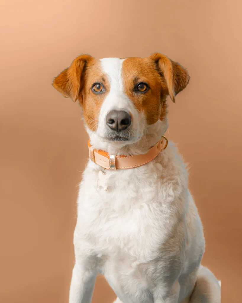 Fotografía de Producto